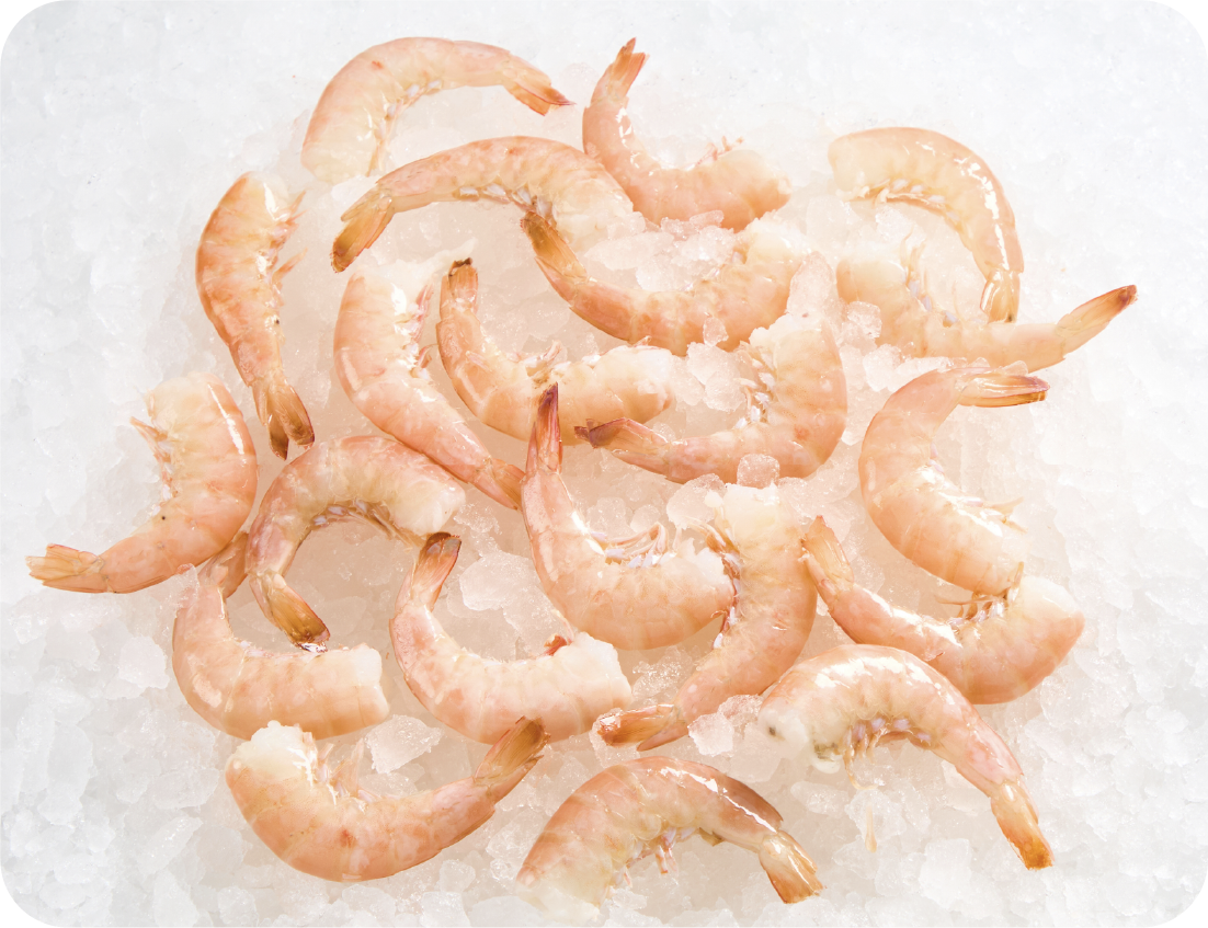 Raw shrimp with tails on are arranged in a circular pattern on a bed of crushed ice, creating an enticing seafood display that highlights their pinkish color and translucent flesh.