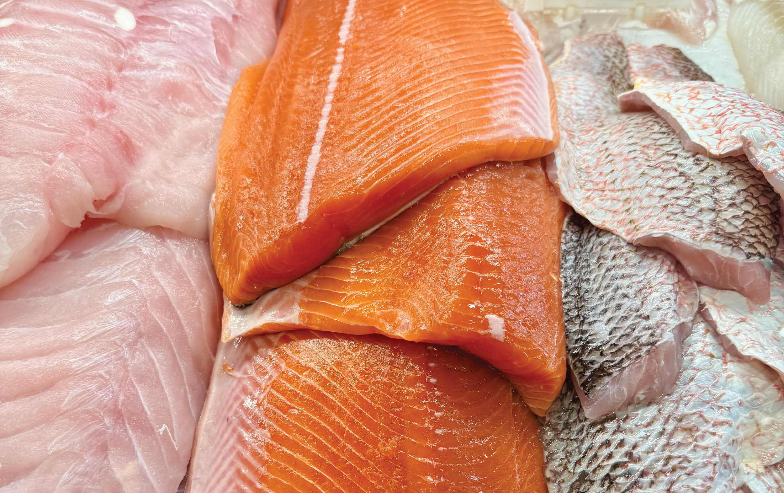 Fresh fish fillets on display, including bright orange salmon fillets in the center, surrounded by white and pink fillets and some with silver-scaled skin, arranged closely together at a seafood market.