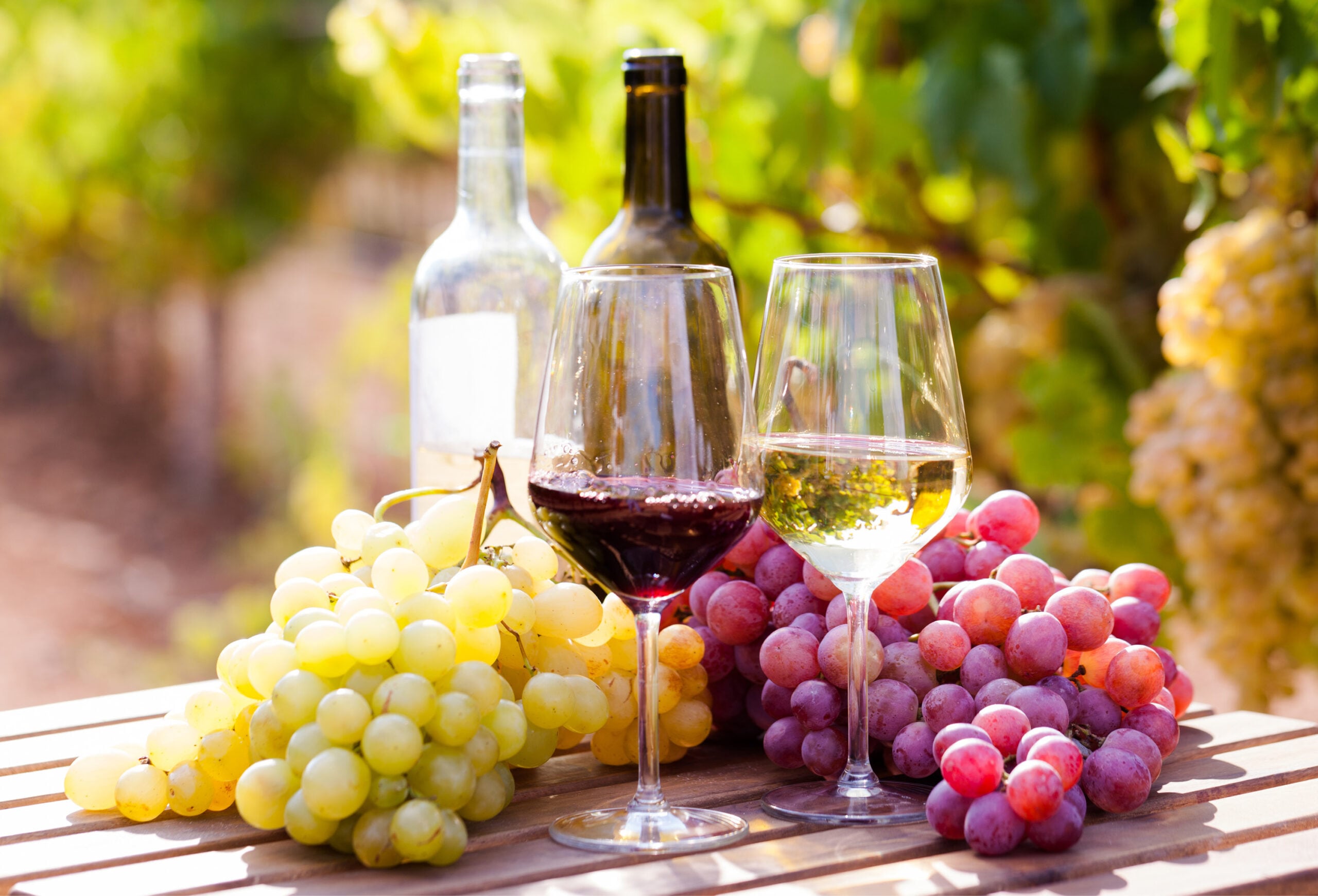Two wine glasses, one with red wine and one with white wine, sit on a table surrounded by red and green grapes. Two wine bottles are in the background, with grapevines visible behind them—perfect for enjoying exclusive Wine Deals or taking advantage of Buy One Get One Wines offers.